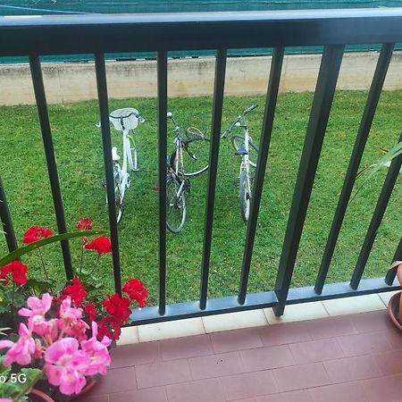 Apartament Ani Porto SantʼElpidio Zewnętrze zdjęcie